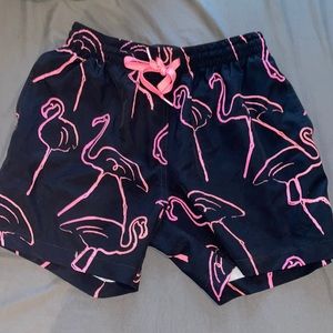 MENS CHUBBIES SWIM SHORTS